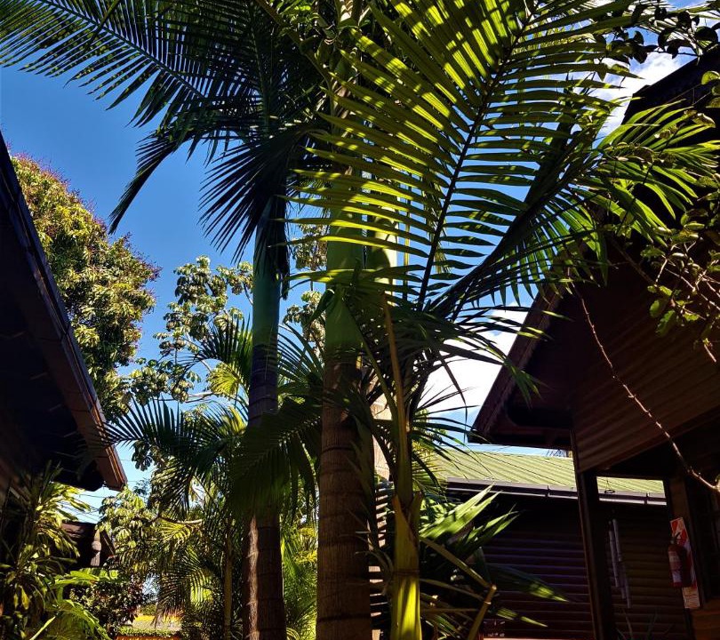 Photo of Others in Puerto Iguazu