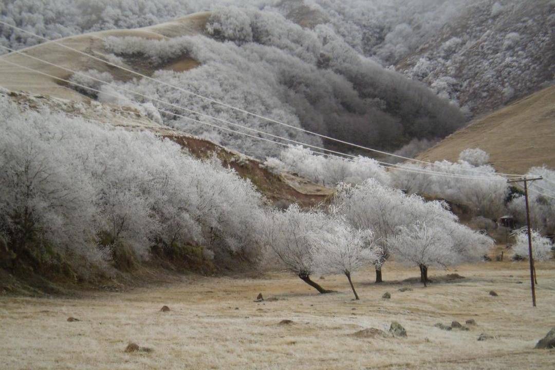 Photo of Others in Tafi del Valle