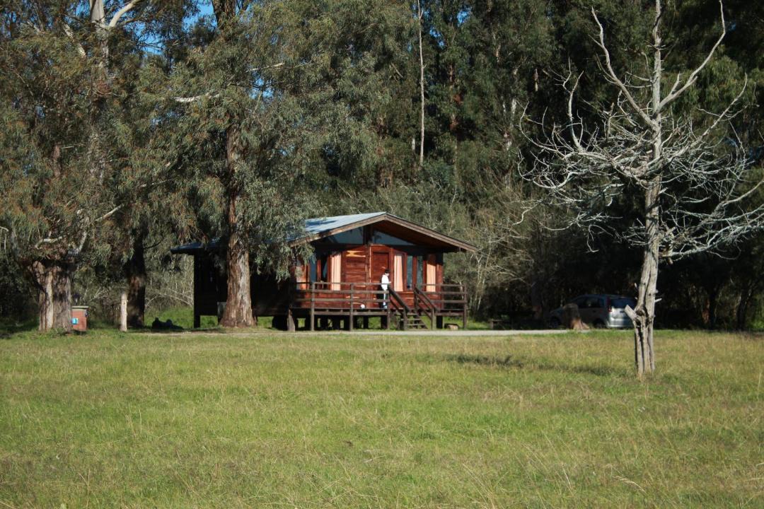 Photo of Others in Chascomus