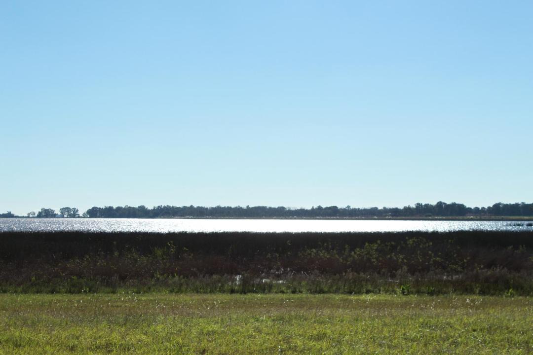 Photo of Others in Chascomus