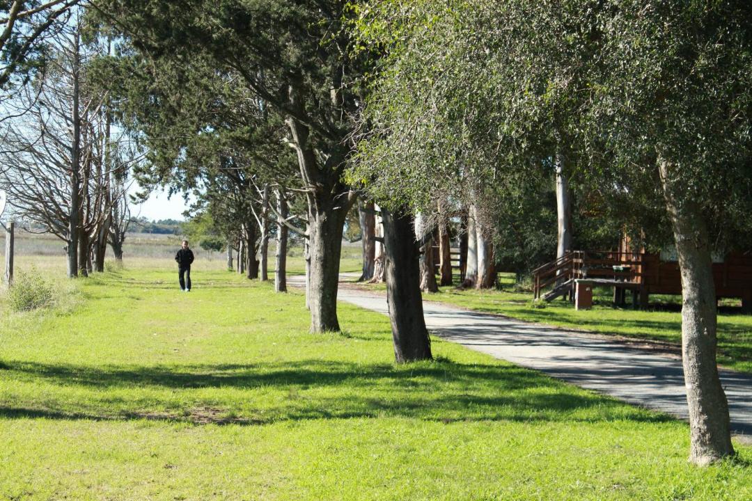 Photo of Others in Chascomus