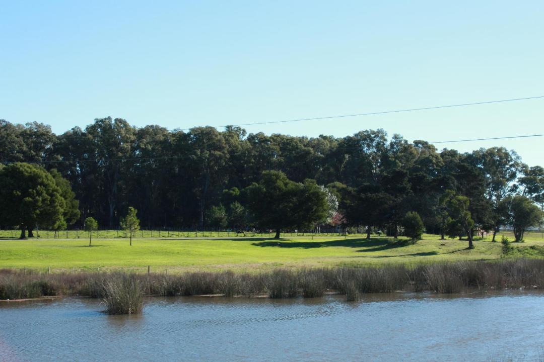Photo of Others in Chascomus