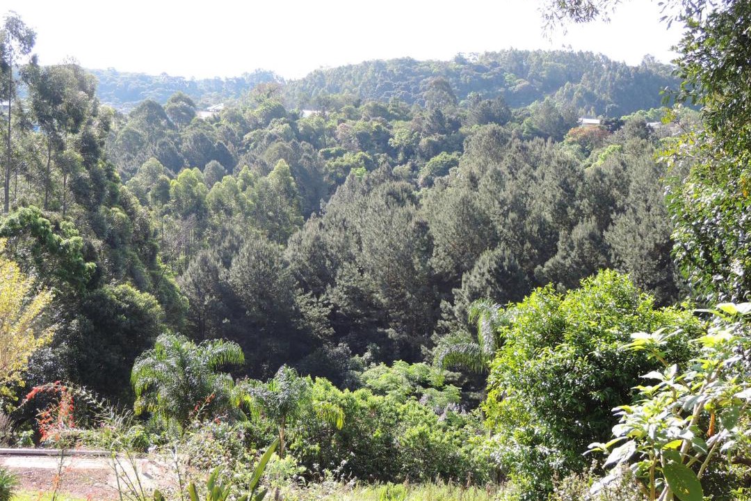Photo of Others in Nova Petropolis