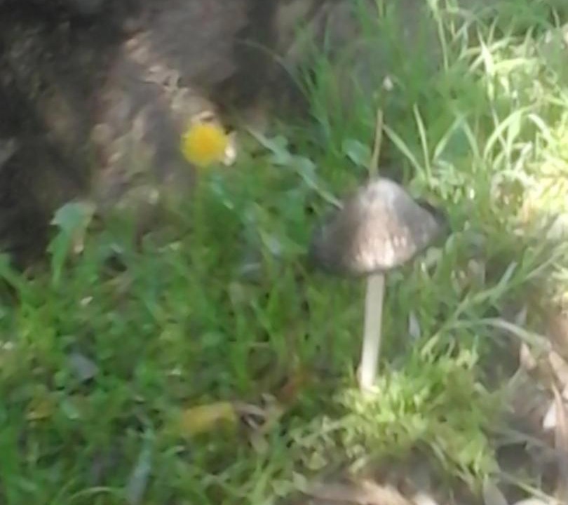 Photo of Others in Tafi del Valle