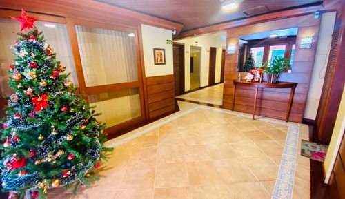 Basic Apartment