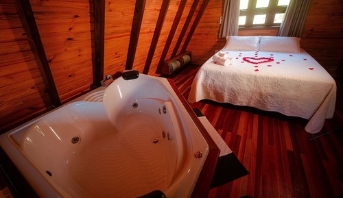 Basic Cabin