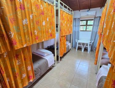 Bunk Bed in Mixed Dormitory Room