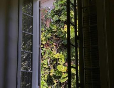 Double Room with Garden View