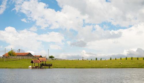 Bungalow - Water Front 