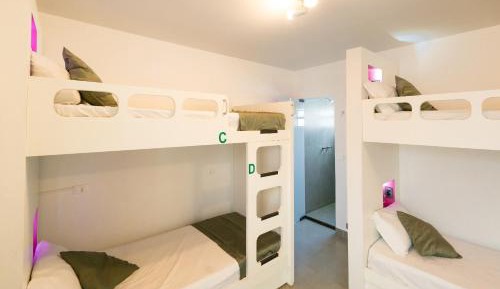 Bed in 6-Bed Mixed Dormitory Room