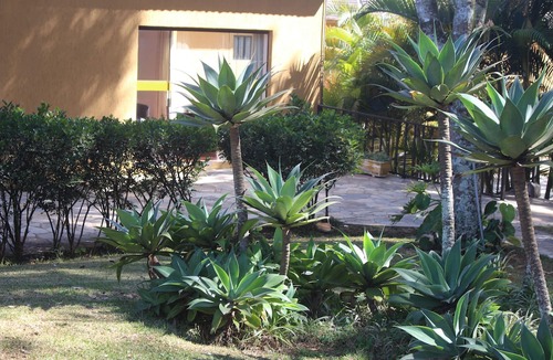 Jarinu Hotel | PARADIES HOTEL EXPRESS