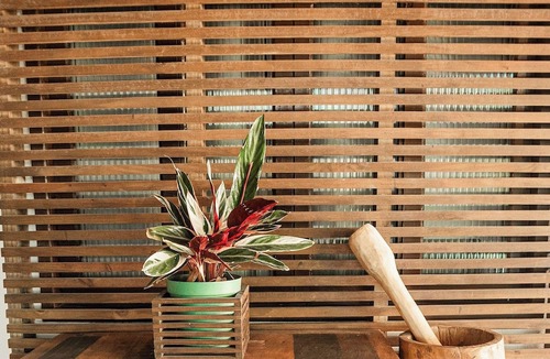 Alto Arroio Cabin | Sitio Simon - Imbituba/sc