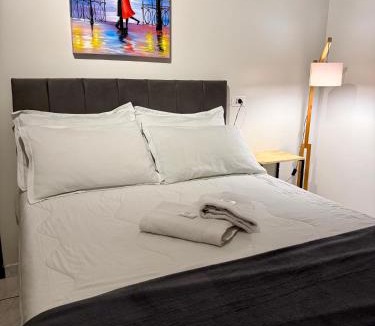 Centro Hotel | Hotel Torres