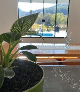 Chapeco Hotel | Flor do Campo