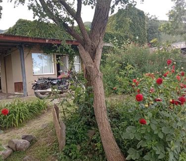 Tafi del Valle House | Casa de Montaña Sacha Huasi