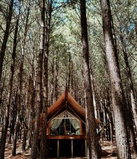 Sao Francisco de Paula Other | Tedesco Eco Park