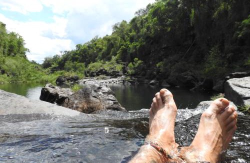 Puerto Iguazu Resort | Curiango Birding Camp