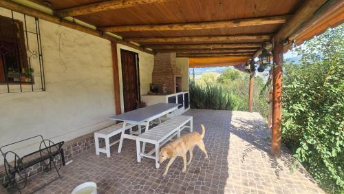 El Mollar Apartment | Cabana Shalom