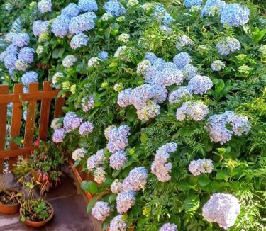 Gramado House | Recanto dos Jasmins Gramado