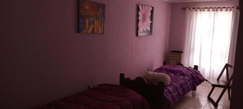 Trelew Bed & Breakfast | La Martina
