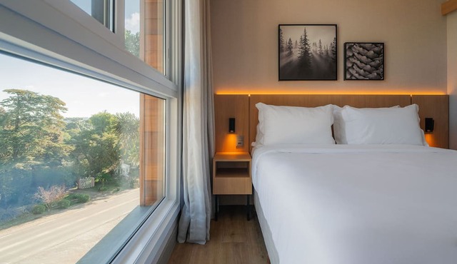 Golden Tulip Canela OFICIAL