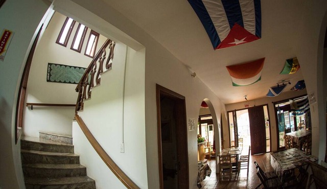 Geckos Hostel