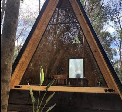 Forest Glam