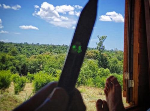 Curiango Birding Camp