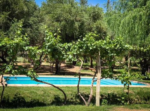Munay EcoHostal - Cabañas de Adobe